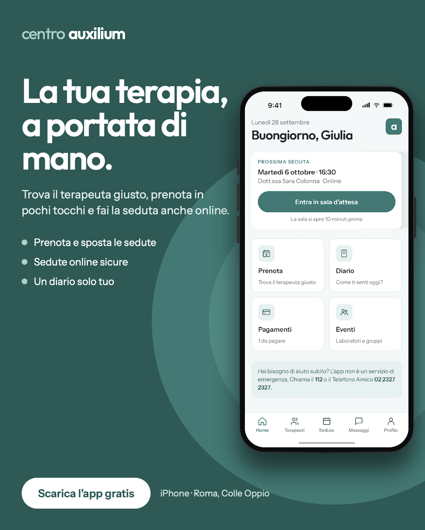 Centro Auxilium project cover